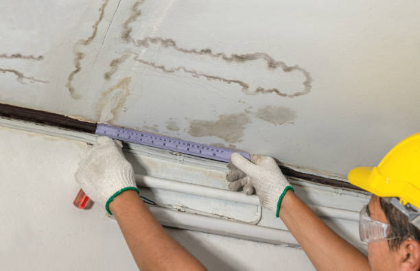 Reliable Sewage Cleanup contractor in Hazel Park, MI by Water Damage Irwin